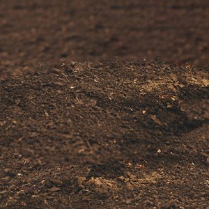 Compost